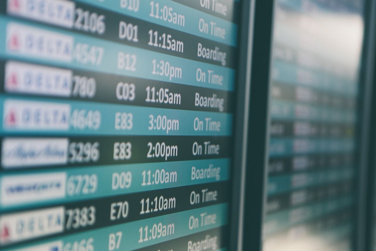 Travellers to South Africa could face delays at international airports over the festive season
