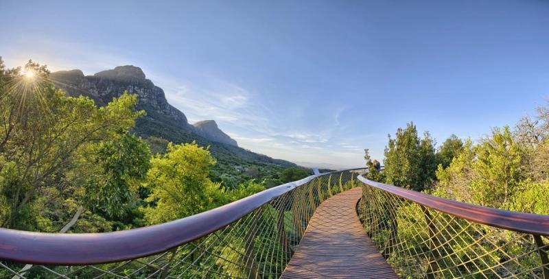 Der Canopy Walk im Botanischen Garten Kirstenbosch