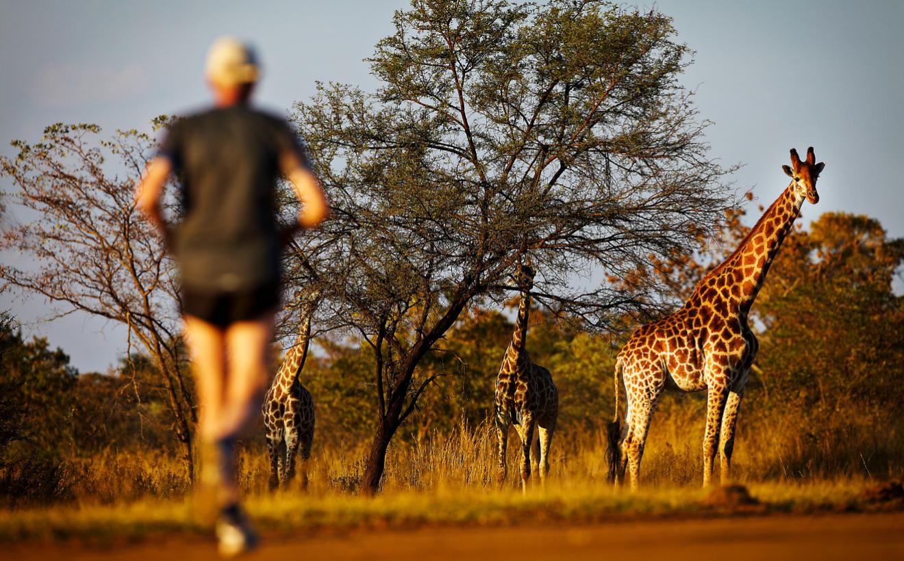 Corridas na África do Sul | Provas para fazer antes de morrer