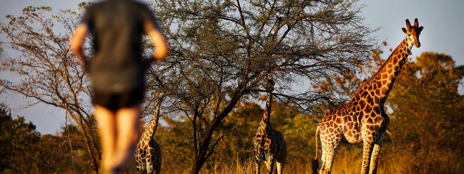 Corridas na África do Sul | Provas para fazer antes de morrer