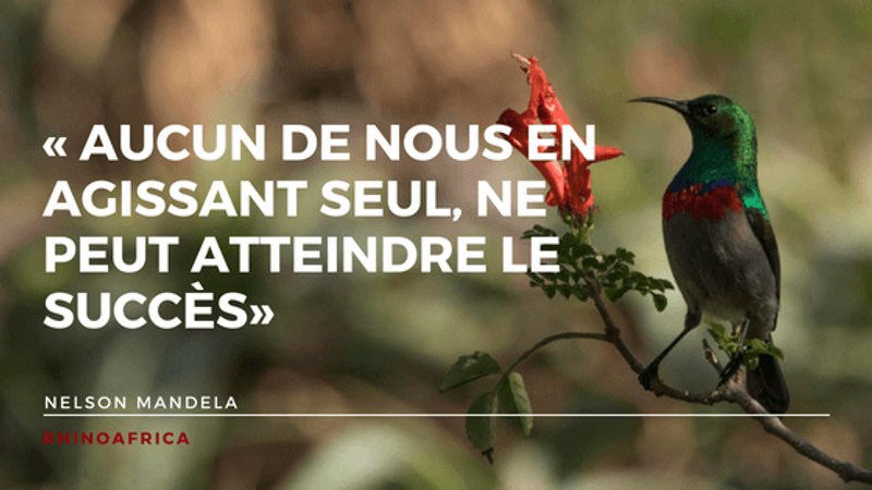 Citations Mandela pour le Centenaire de Mandela