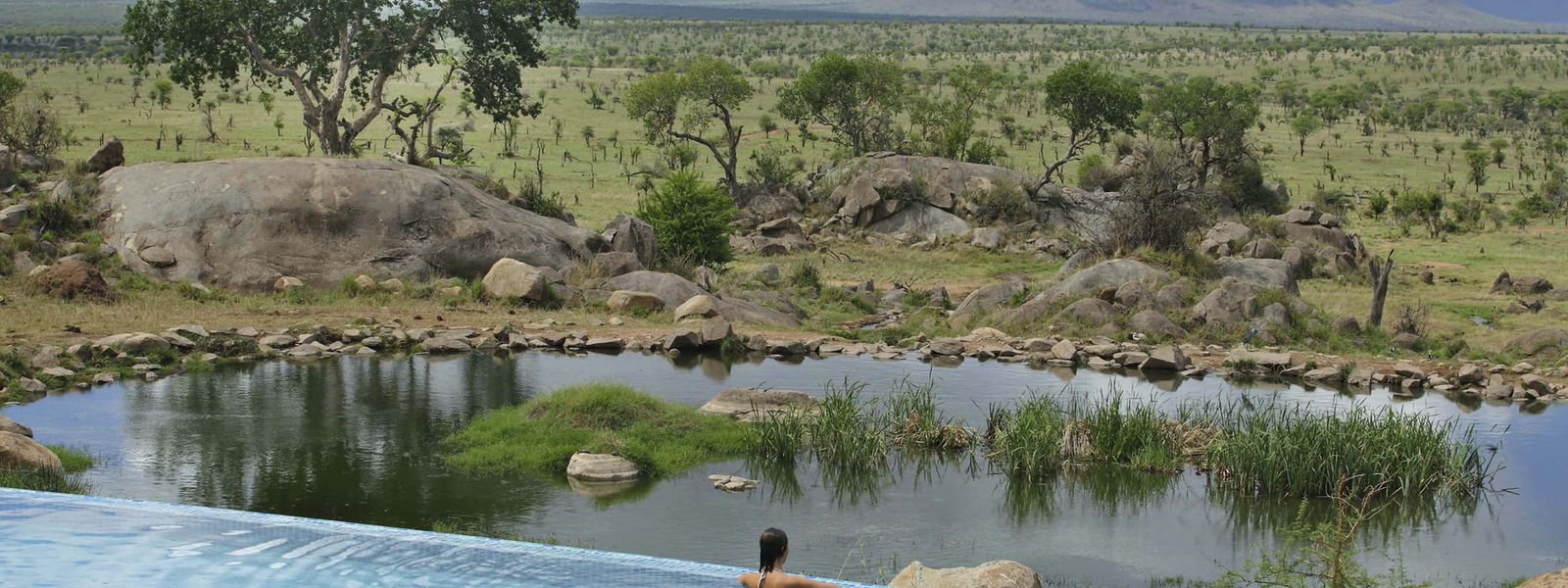 HBO’s "The White Lotus" Season 4: Why the Serengeti Could Be Its Most Explosive Setting Yet