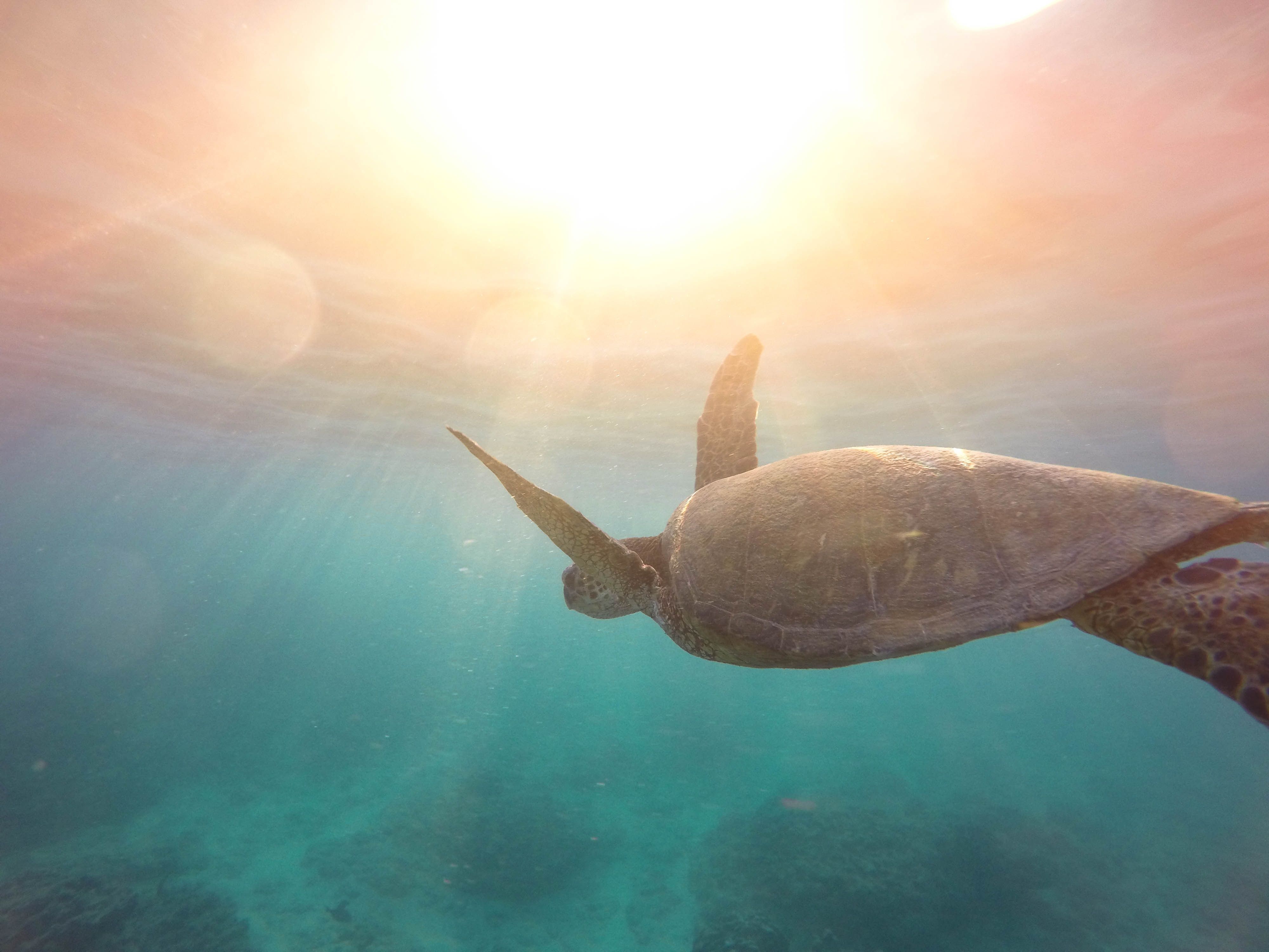 7 Hopeful Headlines About Our Planet