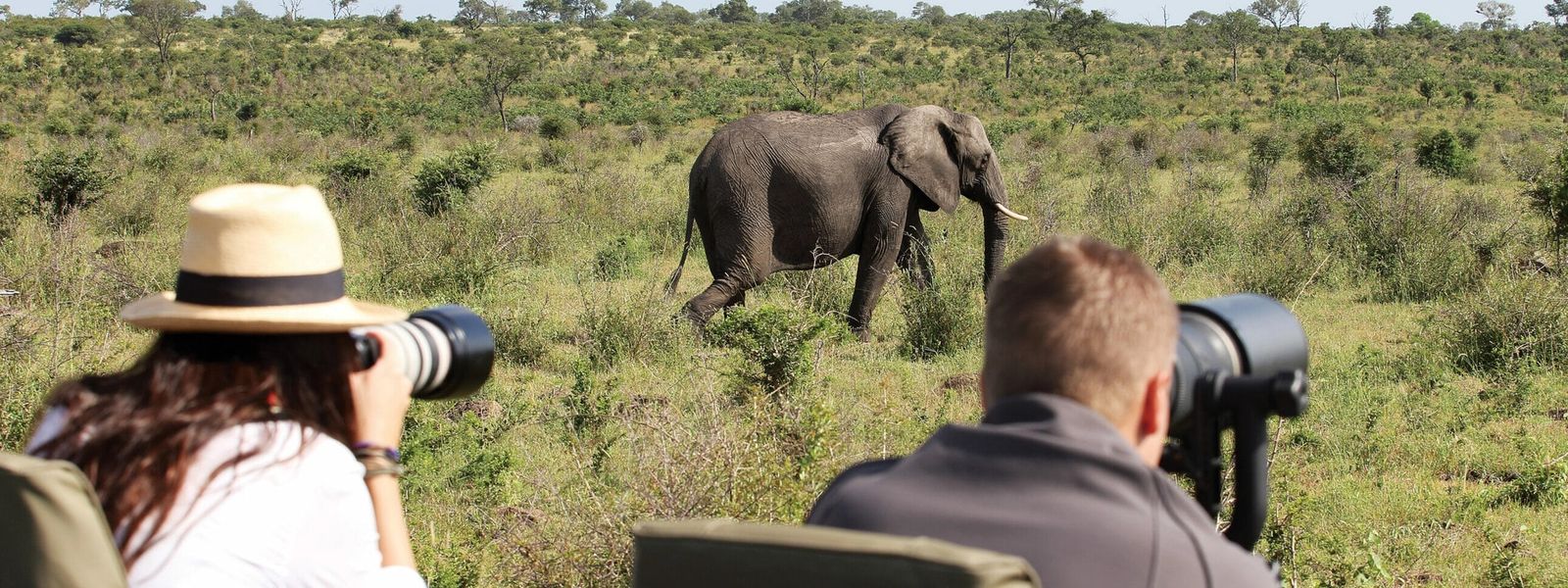 Mastering Safari Photography: Top Tips for Striking Shots