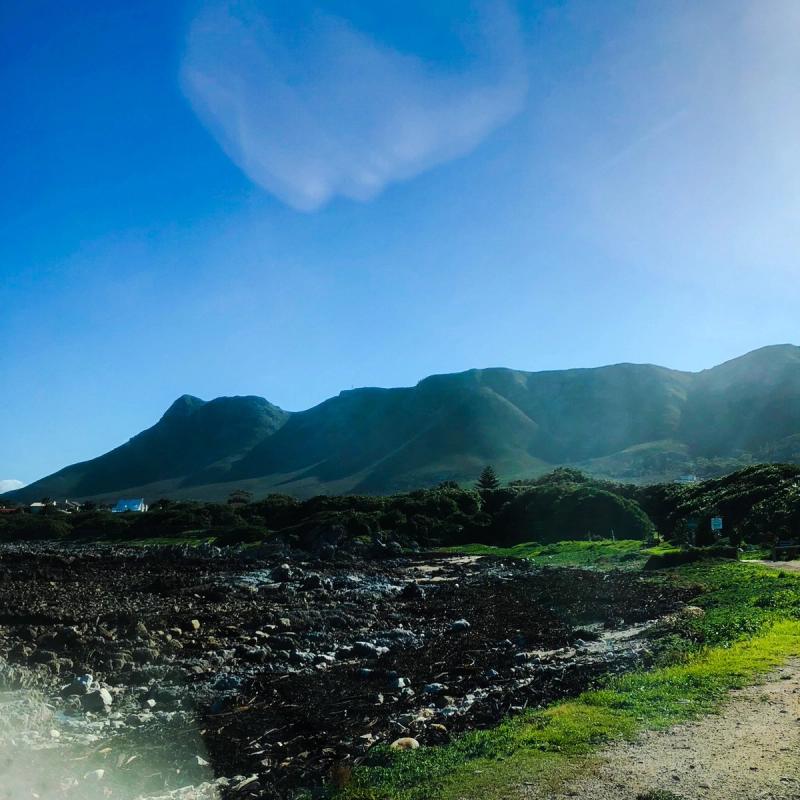 Spotting Whales in Hermanus