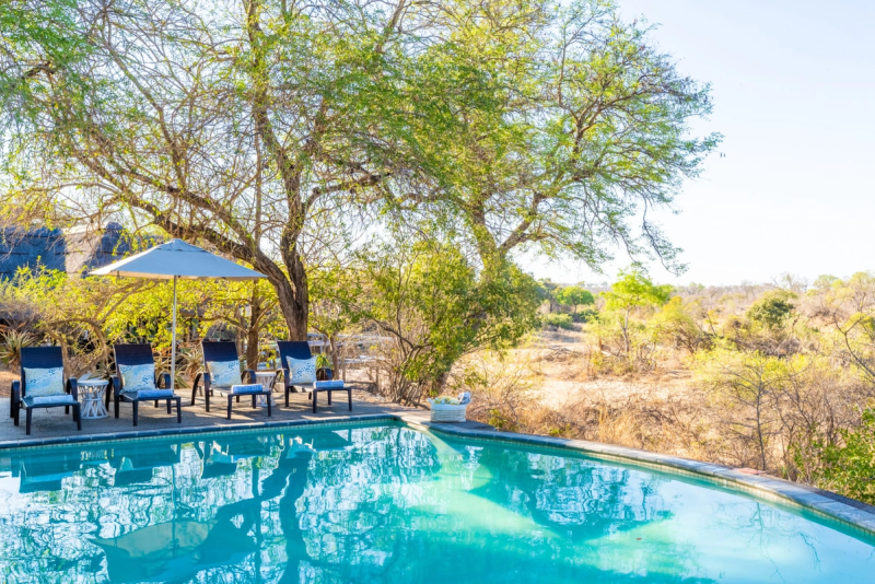 off-the-beaten-track-destinations-thornybush-game-lodge