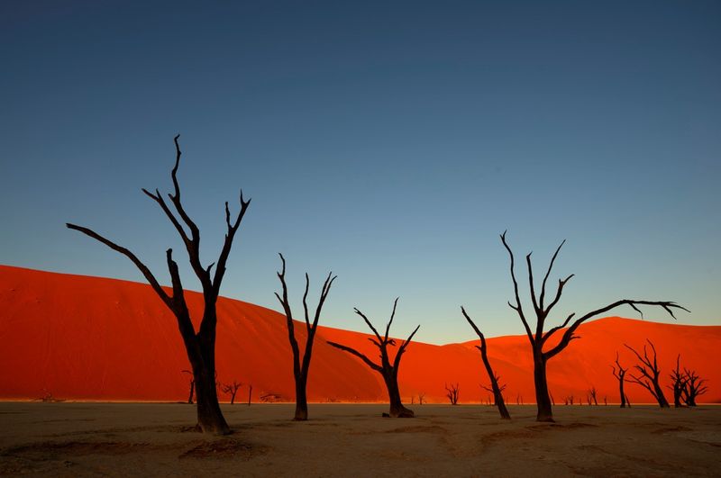 Sunset in the Namibia desert