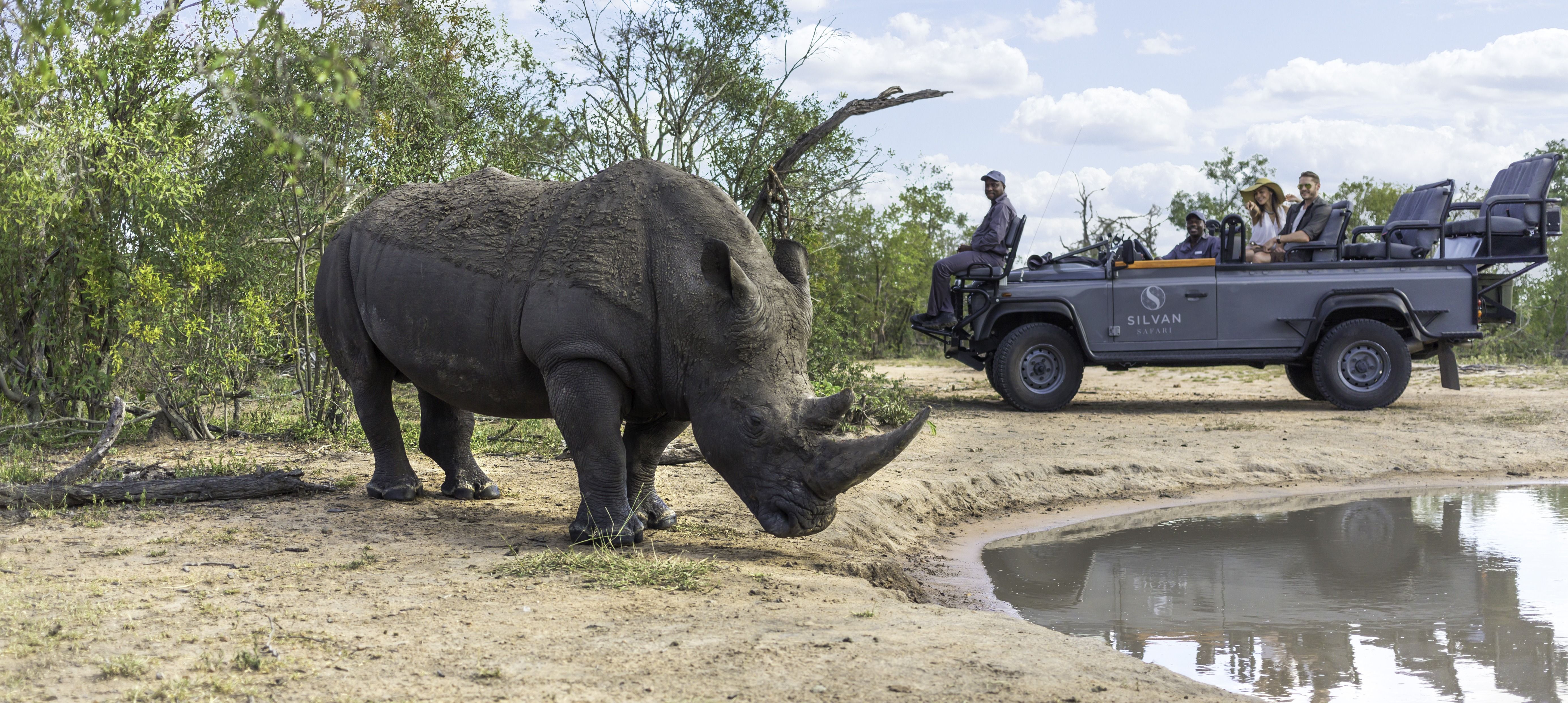 Aventures passionnantes en Afrique australe