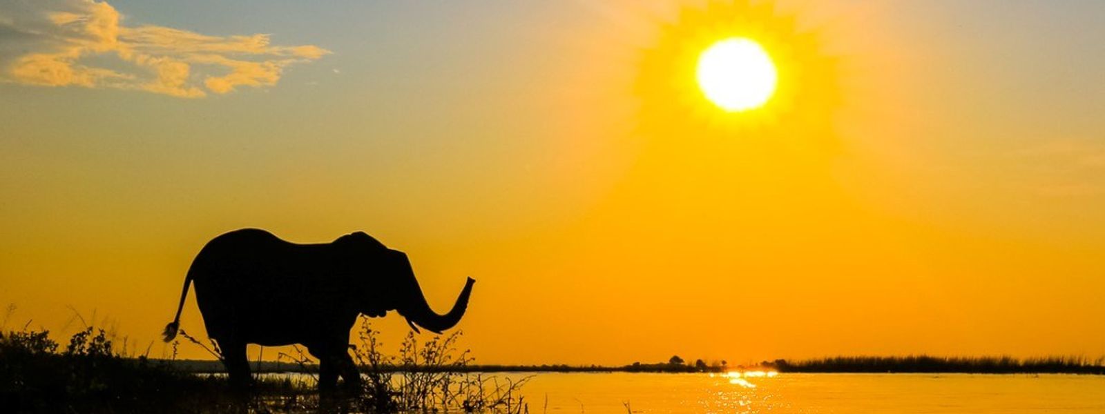 10 Reasons to Book an African Safari Now
