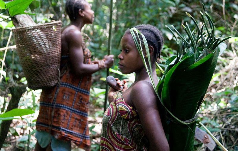 Voyage au Congo-Brazzaville