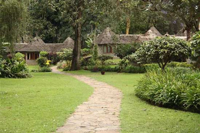 Stay at Serena Mountain Lodge, Arusha, Tanzania