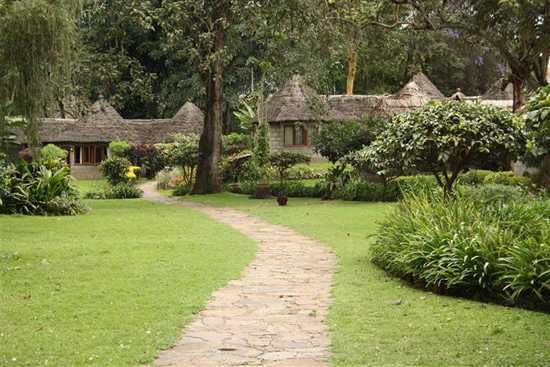 Stay at Serena Mountain Lodge, Arusha, Tanzania