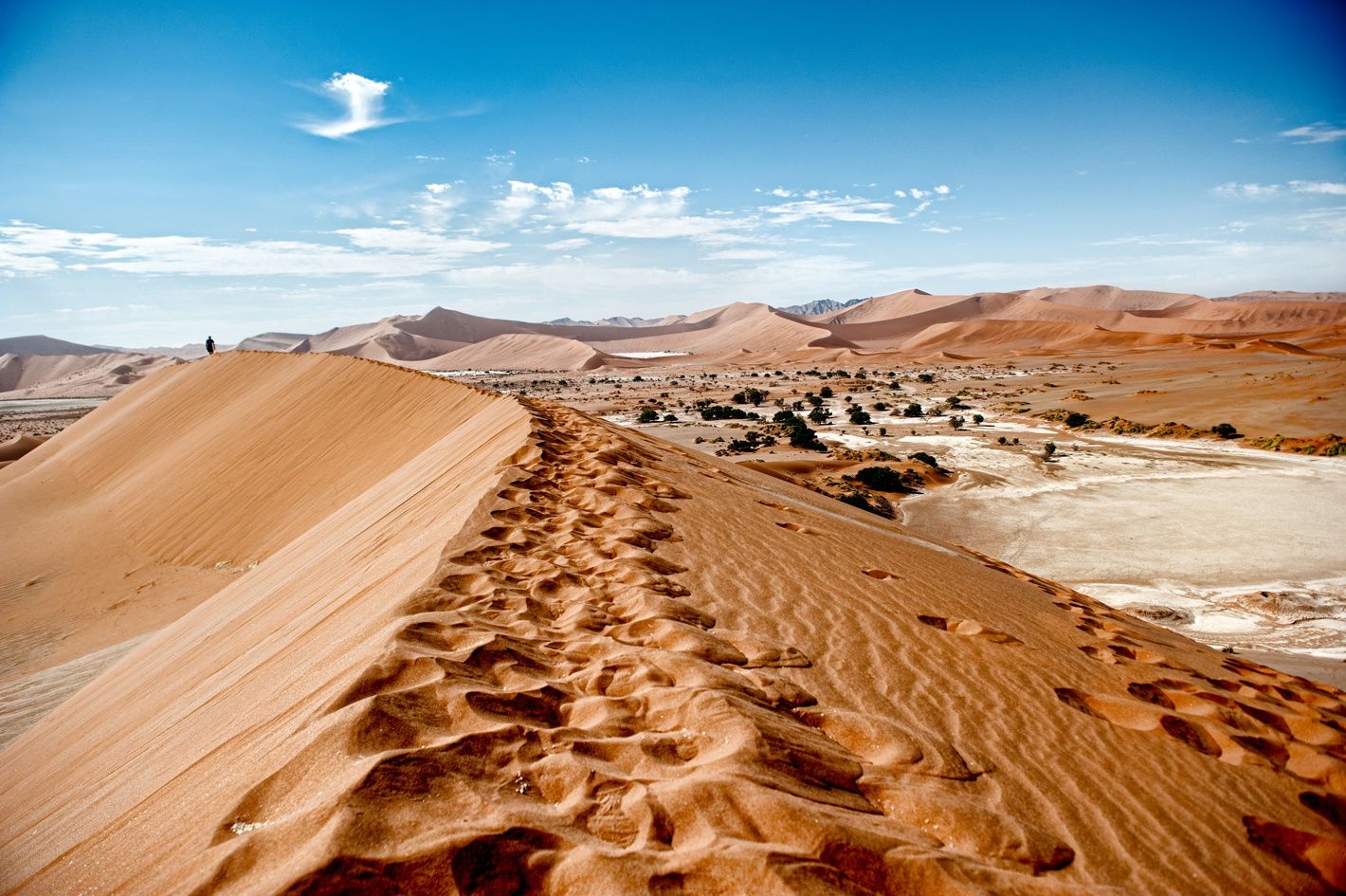 ¿Cuándo es la mejor época para visitar Namibia?