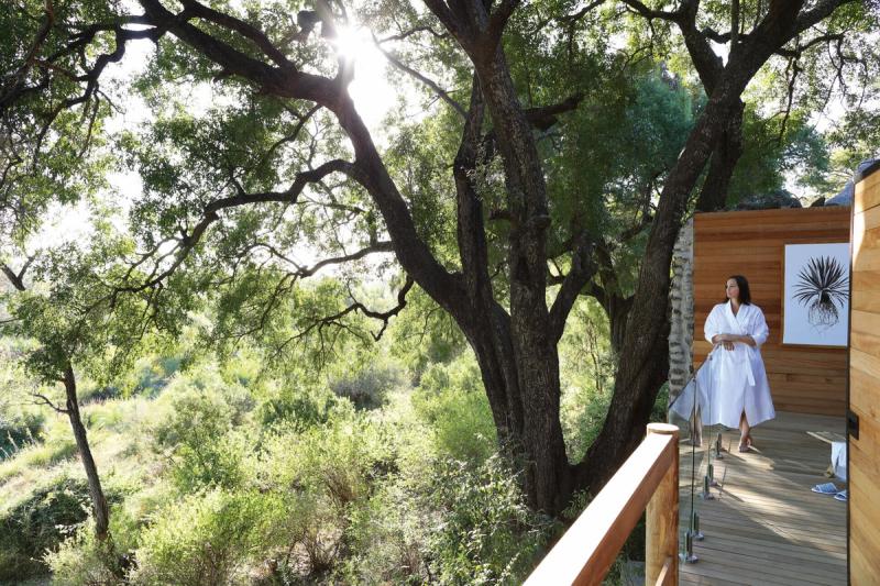 Londolozi Healing House luxury wellness retreat