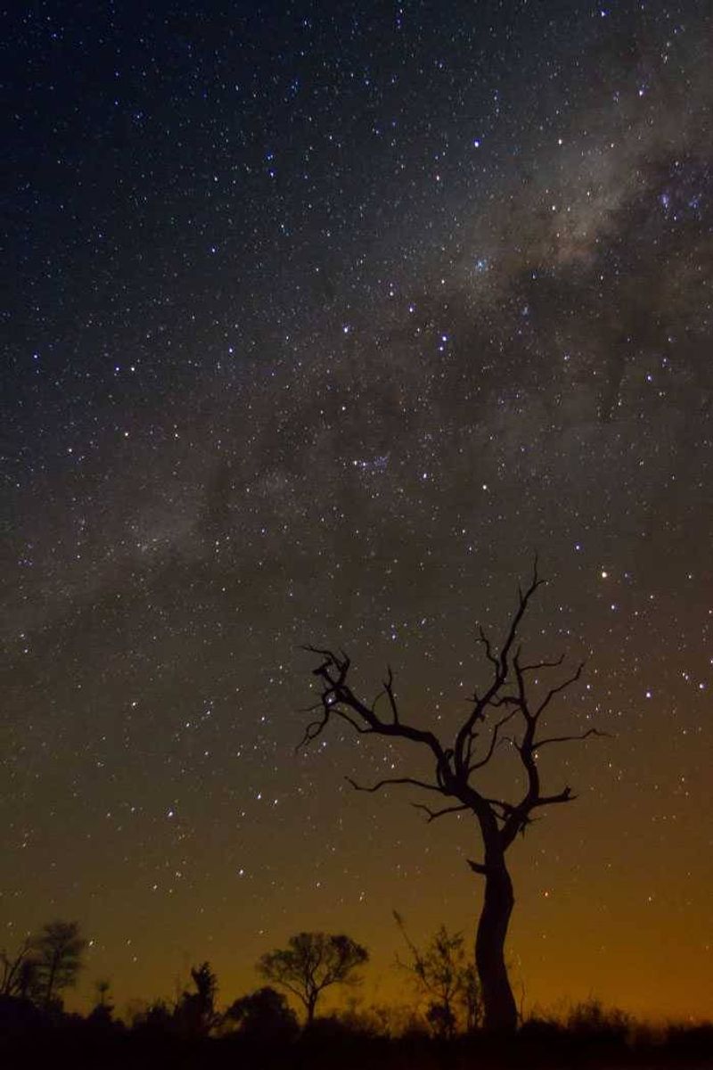 clear night at londolozi