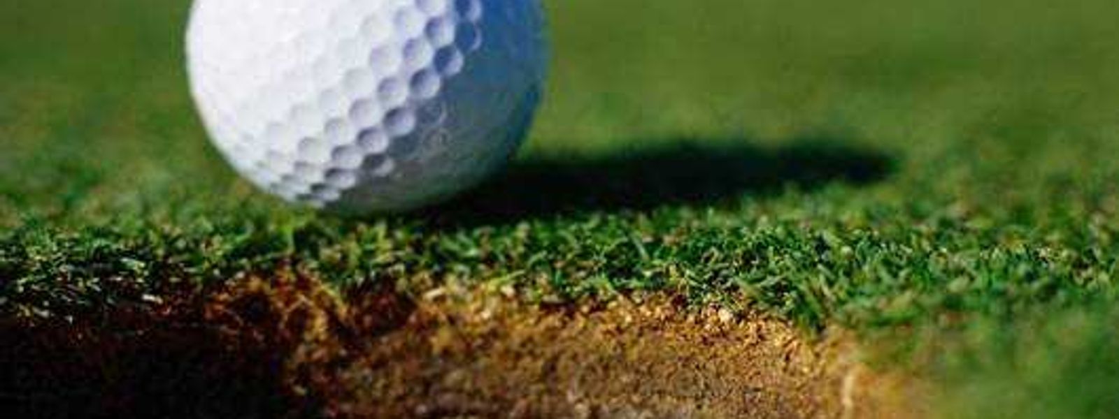Quenton Steele Golf Day