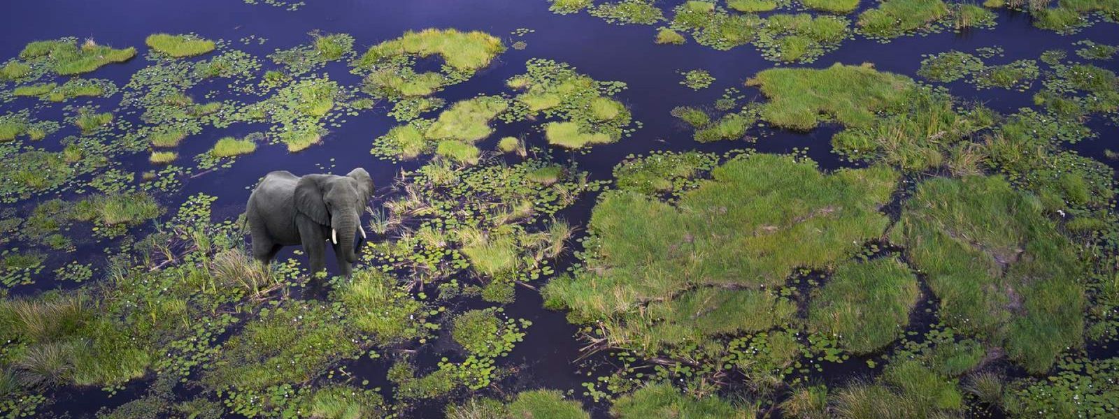 Myths, Miracles and Mysteries: The Okavango River Explained