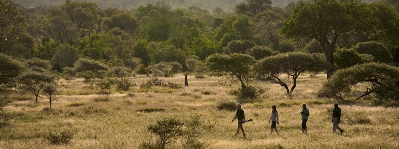 Buschwanderungen im Lion Sands Game Reserve