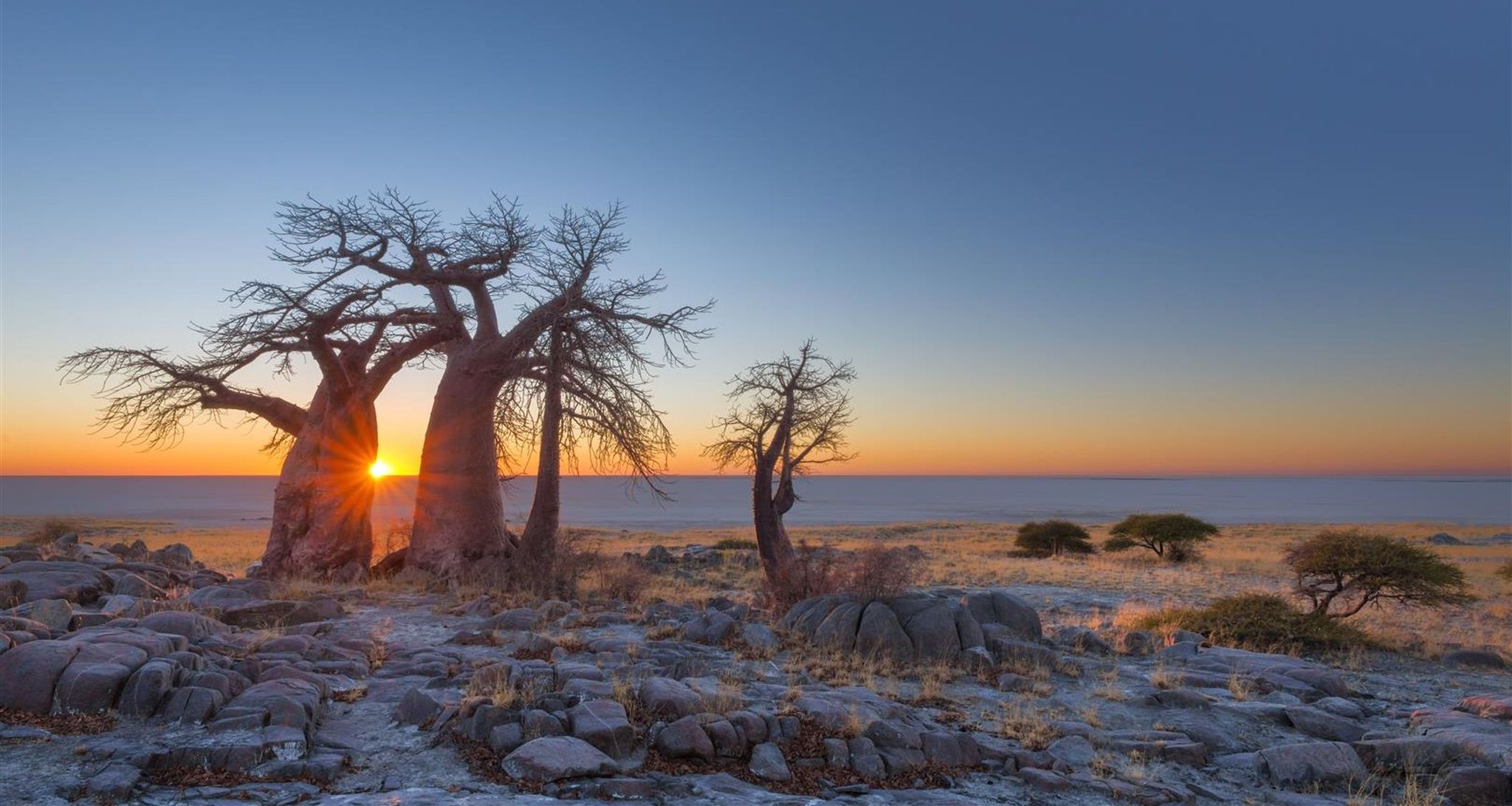 Chobe & Makgadikgadi – Wasser und Wüste auf einer Reise