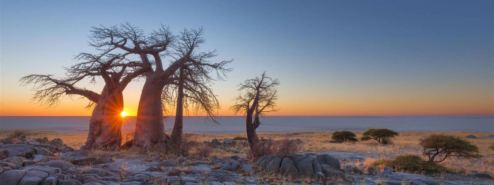Chobe & Makgadikgadi – Wasser und Wüste auf einer Reise