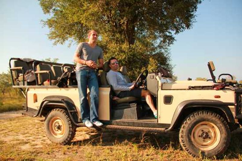Safari Boys