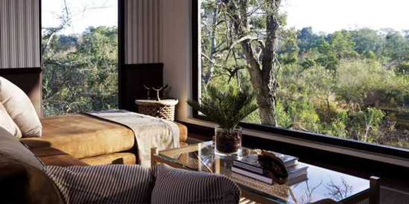 Londolozi Pioneer Camp