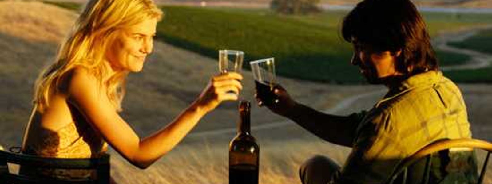 10 Things To Do In The Winelands - Besides Drink...