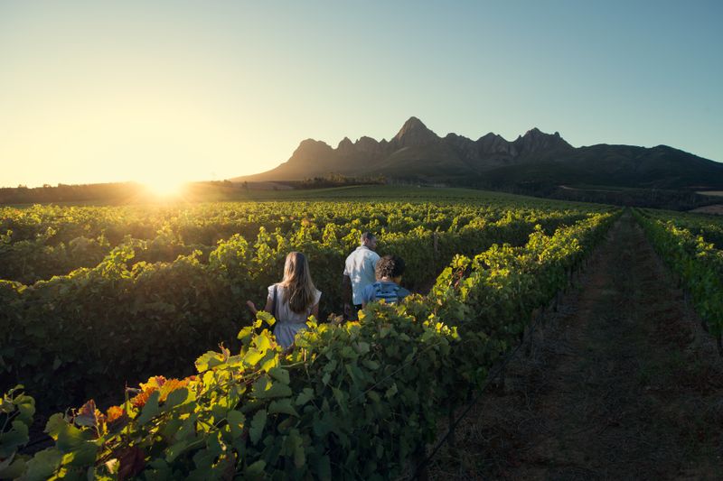 Sentiers des vignobles