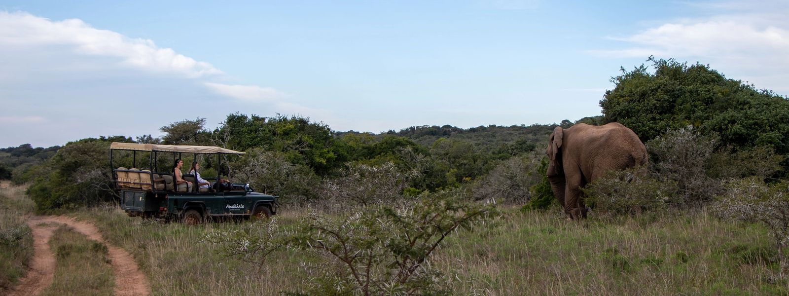 Close Encounters with Wildlife at Amakhala Game Reserve