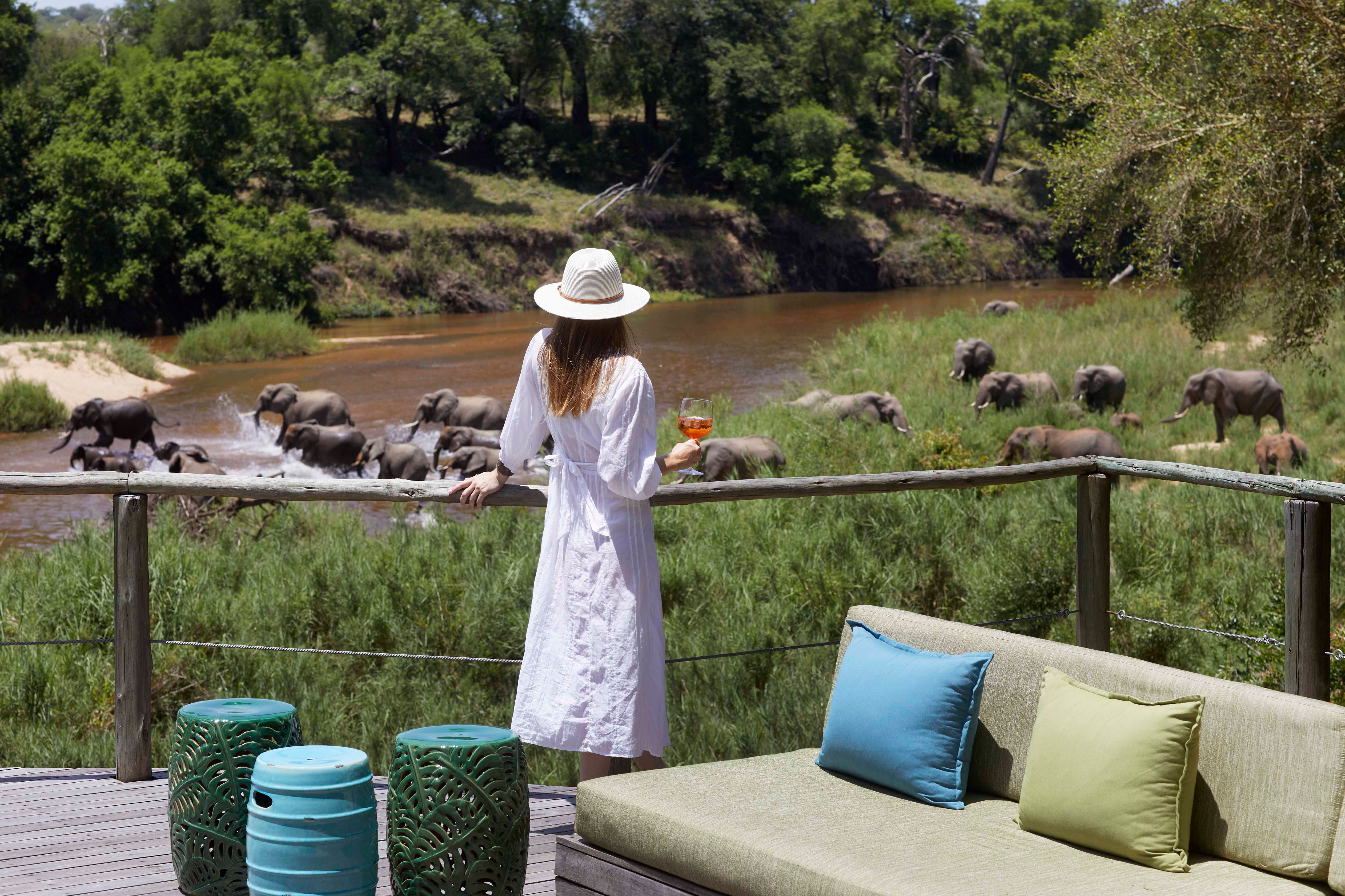 When Is the Best Time to Visit South Africa?