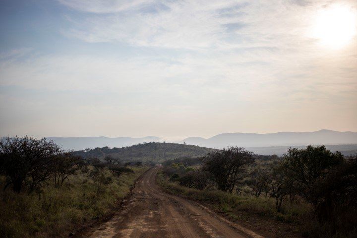 Ein weg führt durch die hügelige Buschlandschaft von KwaZulu-Natal