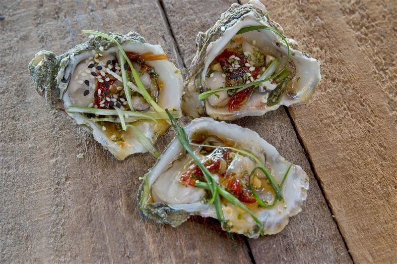 Three freshly shucked oysters topped with herbs, sesame seeds, and sauce on a wooden table