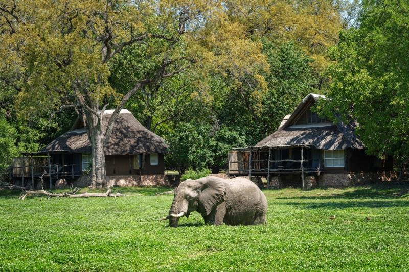Set in the most prolific game area of the South Luangwa National Park