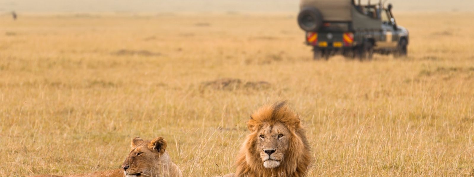 10 Gründe, nach Kenia zu reisen