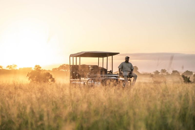 Winter safari in South Africa at Cheetah Plains