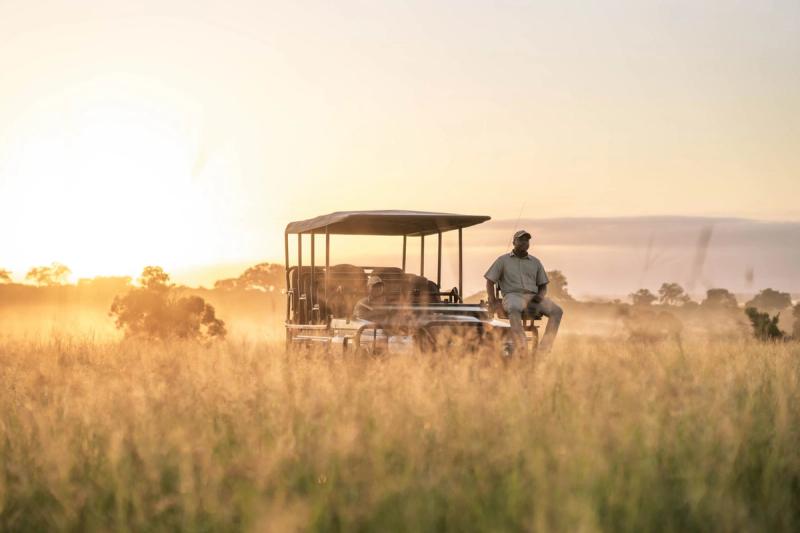 Winter safari in South Africa at Cheetah Plains