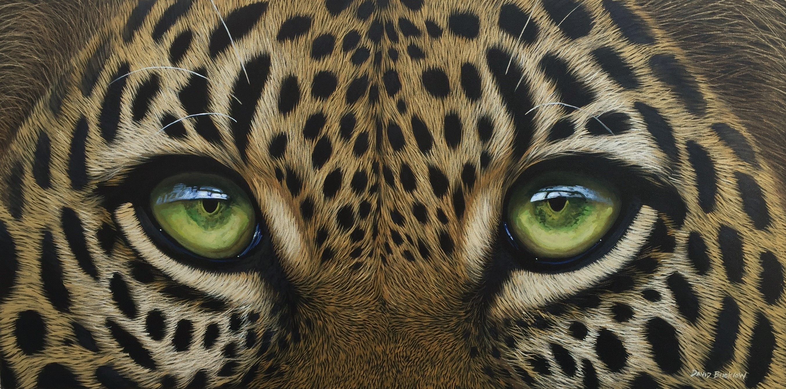 A Closer Look at 6 Incredible South African Wildlife Artists