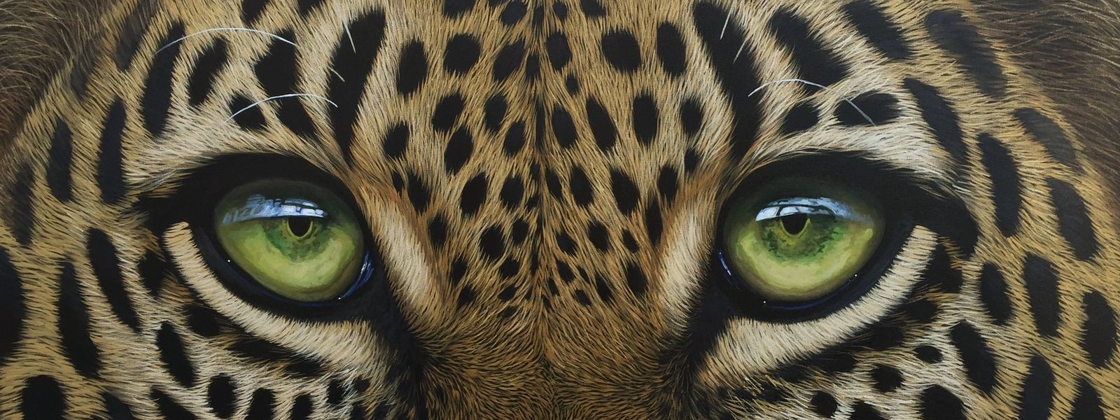 A Closer Look at 6 Incredible South African Wildlife Artists