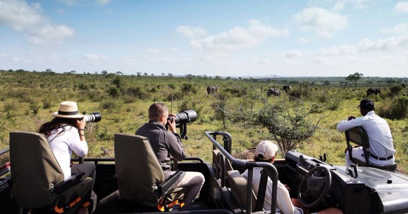 Guests on a photographic safari