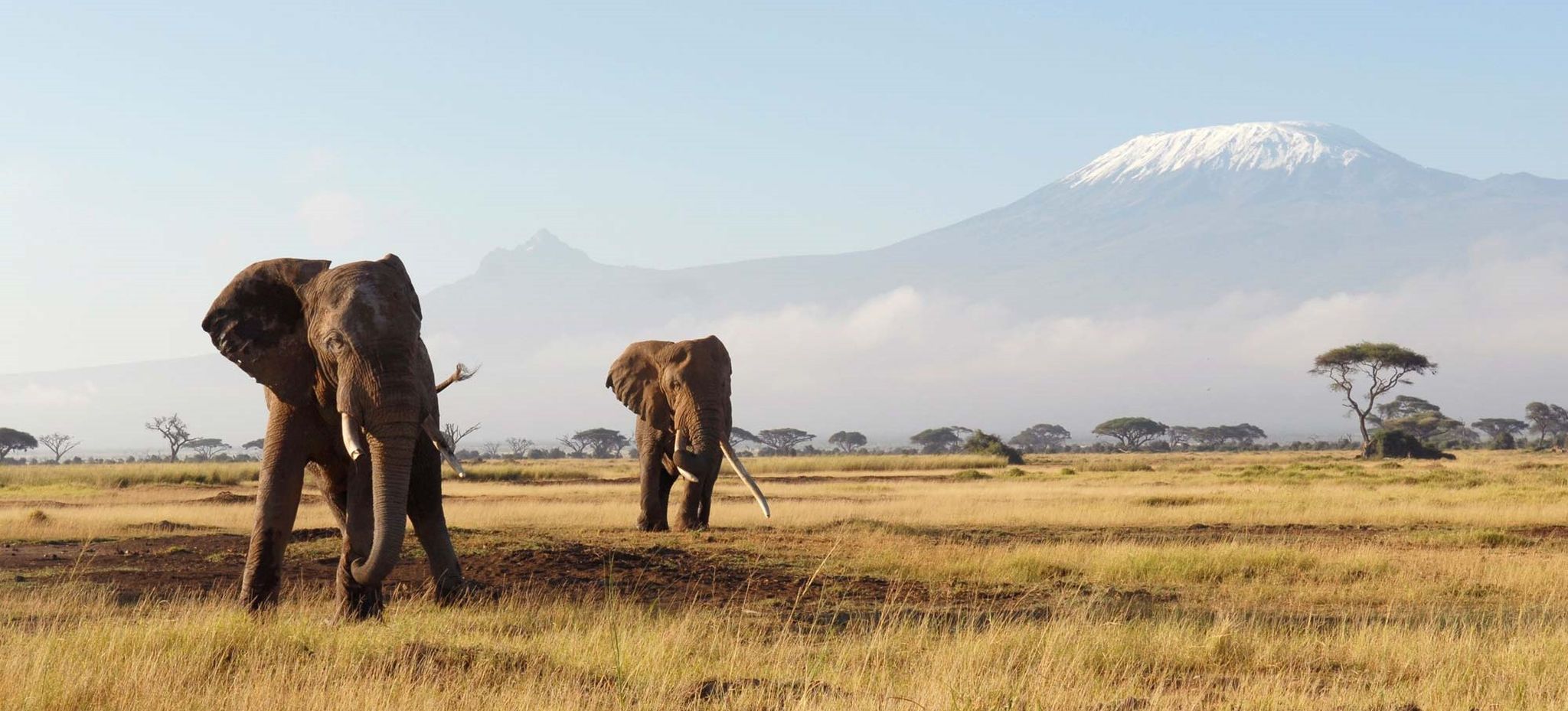 10 de los mejores destinos de safari en África