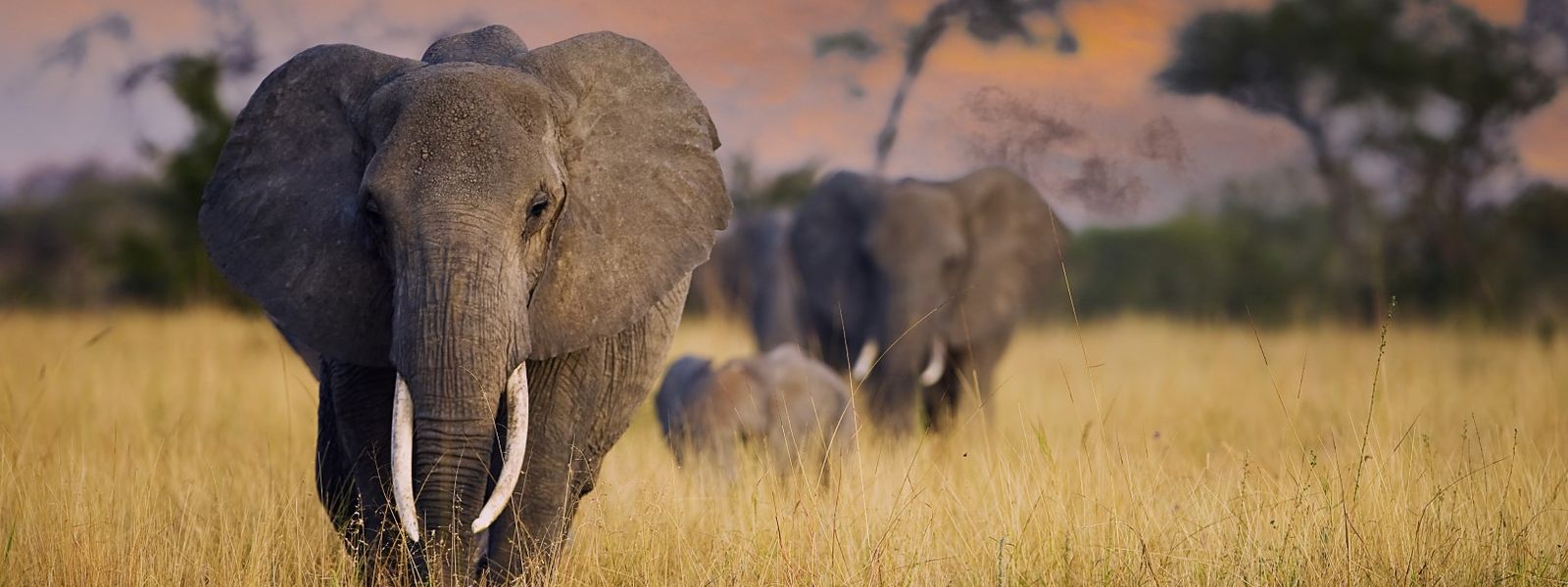 Wohin in Afrika? Reiseziele für jeden Monat