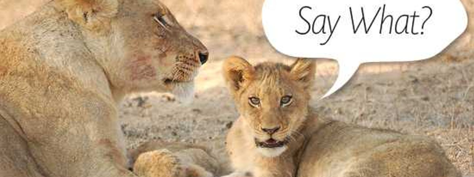 Friday Funnies – Talking animals thanks to the BBC!