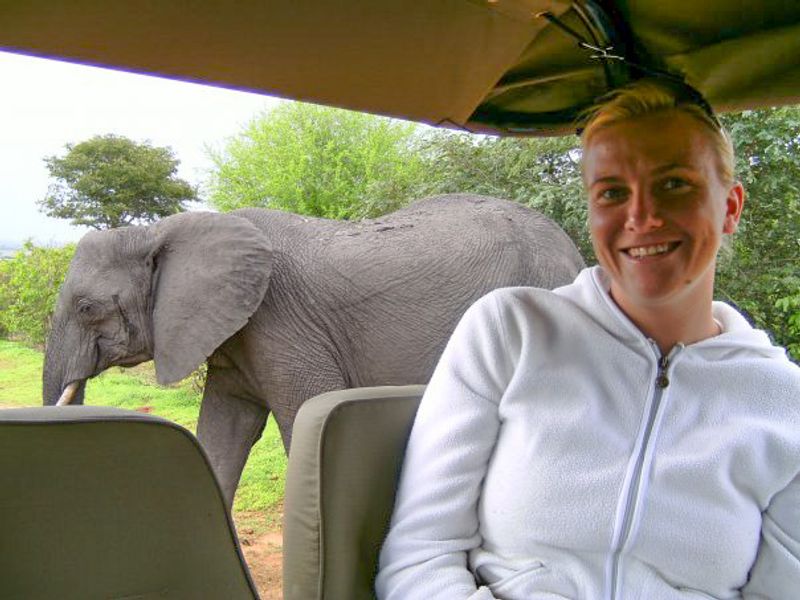 Safari en el parque Chobe, famoso por su población de elefantes