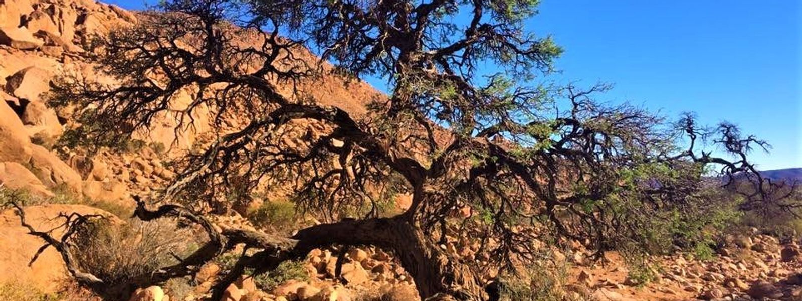 My First Ever Sandy Namibian Trek