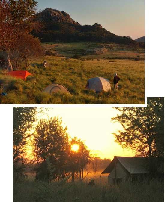 Explore Gorongosa