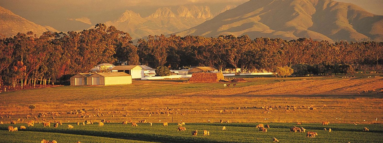 Landenteignung in Südafrika – Auswirkungen für Reisende?