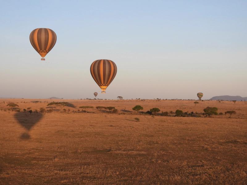 Hot air balloons rise into the sky over the Serengeti, the perfect Tanzania safari experience