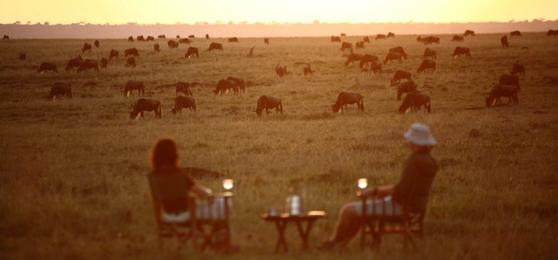 Nuestras preguntas más frecuentes sobre Safaris