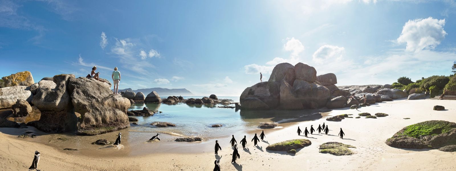 8 Unique Things to Do in South Africa