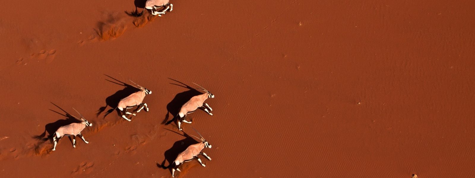 Guía completa de Namibia